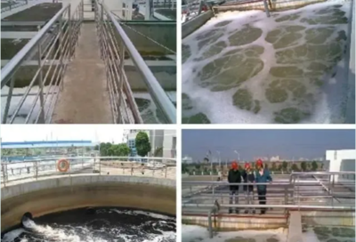 肖羽堂 以技術(shù)先鋒之姿，共繪企業(yè)環(huán)保監(jiān)測新藍圖